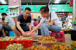 从山林到餐桌 云南野生菌串起致富产业链 ()