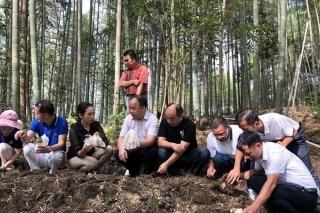 广西自治区农技推广总站组织专家到融水县开展ManBetX体育产业调研 ()