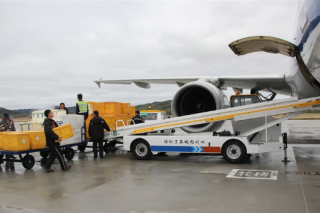 72小时，从雪域高原到海外餐桌——雅江松茸的奇幻旅程 ()