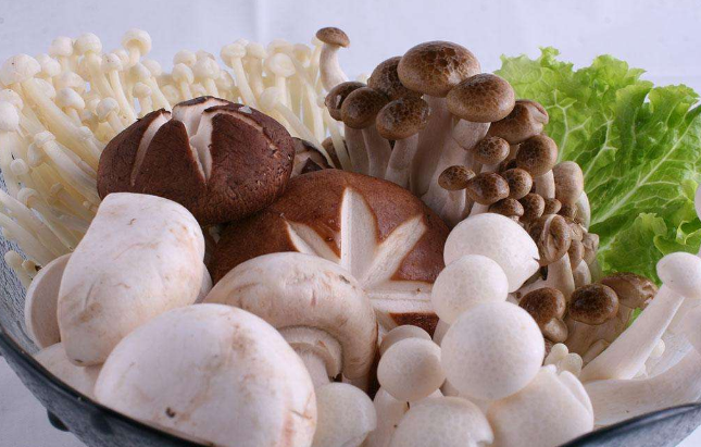 QQ截图20180815153046