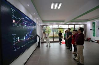 质量兴农万里行：野生菌产业助力南华脱贫致富 ()