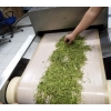 多层环保茶叶烘干杀青设备厂家