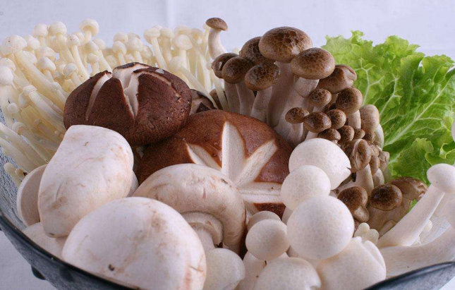 QQ截图20180822153214