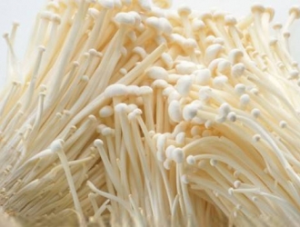 【详细日程】弗德里希·2018ManBetX体育工厂化菌种生产理论和Manbetx体育手机版推荐A9版本中高级研修班 ()