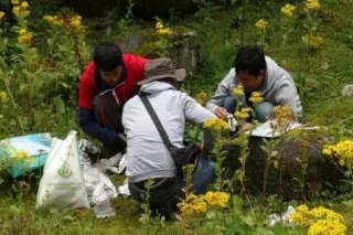 “世界屋脊”上的真菌“猎人” ()