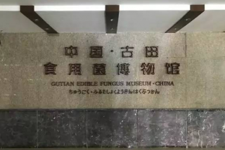 菌文化的传承与发展——中国·古田Manbetx体育手机版V17版本发布.官网安卓网.香港博物馆 ()