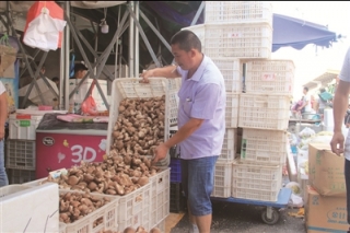 千里之外的鲜香菇 俏销南通 ()