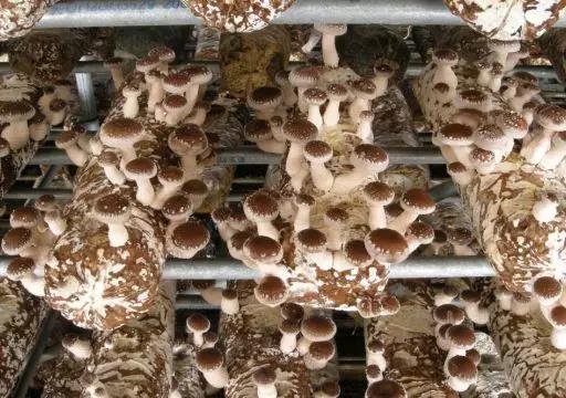 微信图片_20180903171215