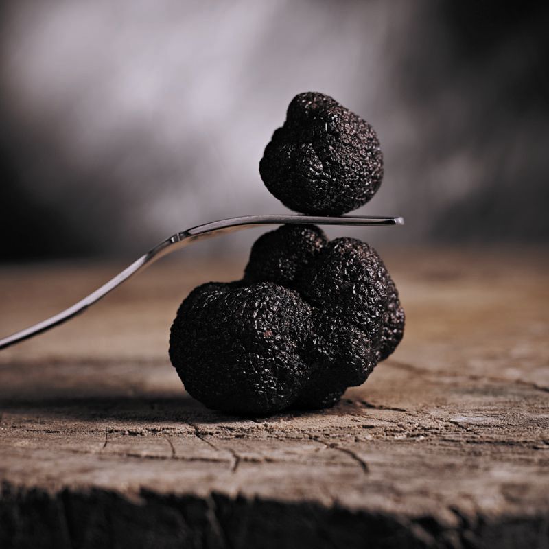 4d022c9d-8361-422f-b8ac-6e8738f2e8ee