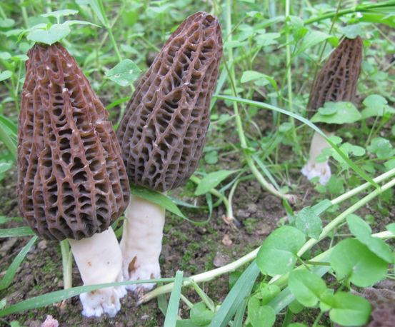 Manbetx体育手机版推荐A9版本