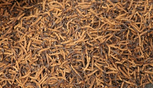 微信图片_20180907102409