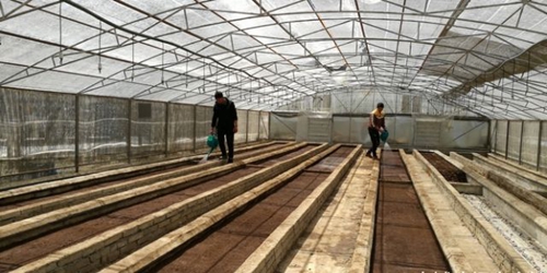 微信图片_20180907102504