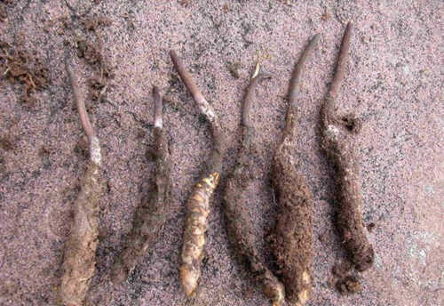 微信图片_20180907102556