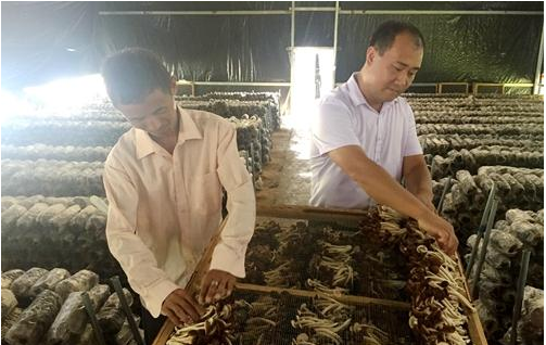 QQ图片20180908111642