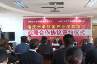 云南迪庆州首创“ManBetX体育产业保险”为种植户保驾护航 ()