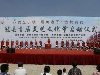 山东冠县首届灵芝文化节开幕 ()