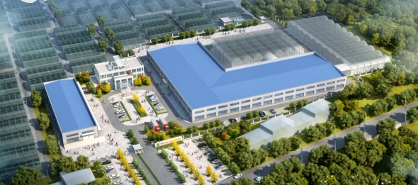 QQ截图20180912091819