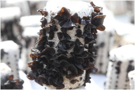 QQ图片20180912162510