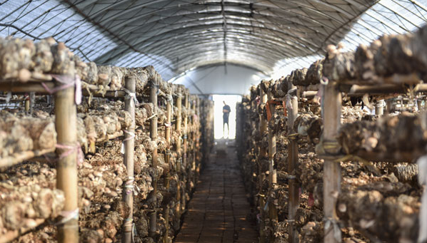 QQ截图20180913140537