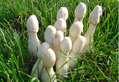 QQ图片20180917150918