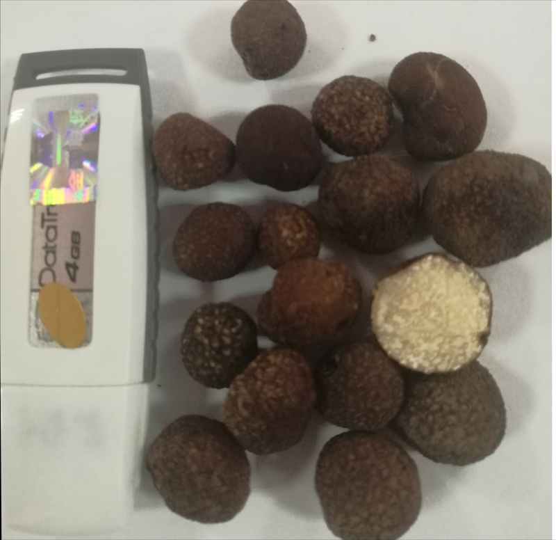 微信图片_20180918174416