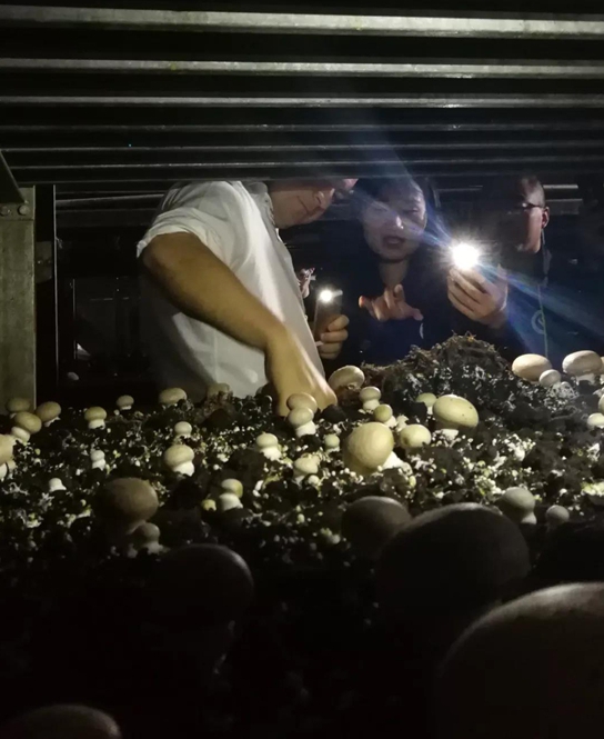 微信图片_20180920112212