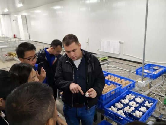 微信图片_20180920112236