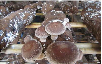 QQ图片20180921090116