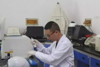 中国黑松露侵染植物槲栎研究取得新进展 ()