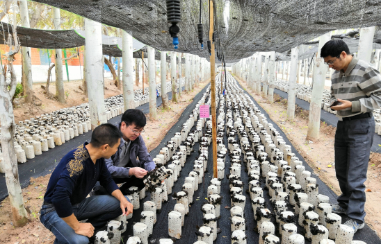 QQ截图20180926145356