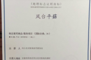 凤台平菇获得国家地理标志证明商标 ()
