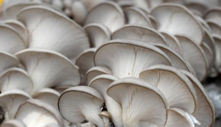 QQ截图20180930160042