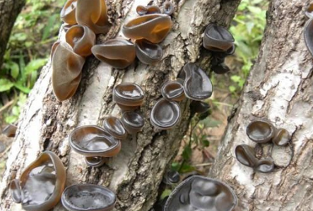 QQ截图20180930160856