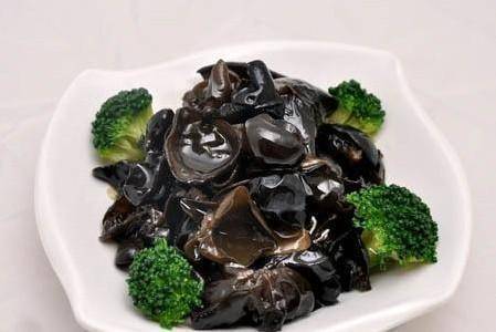 u=476409083,3114225810&fm=173&app=25&f=JPEG