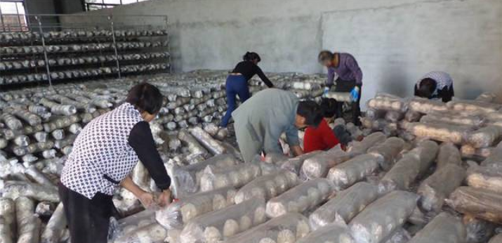 QQ截图20181007094222