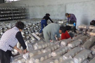 湖北郧阳:3000干部放弃国庆假日“养菌”忙 ()