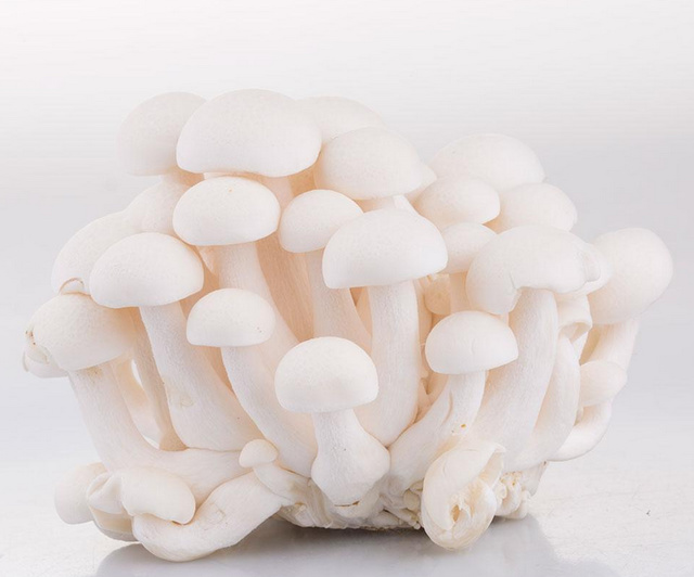 u=1098549345,921426493&fm=175&s=9DA67937477A44215EF8B0F40300C033&w=640&h=532&img