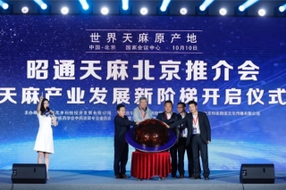 昭通天麻北京推介会暨昭通天麻产业国际高峰论坛在北京召开 ()