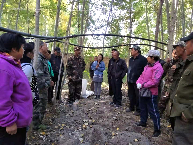 B43BD074608ACCBE1F9609FDD47_16011659_734CC