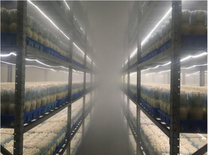 19-1P930123640E4 (1)