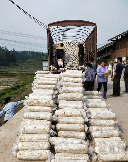 QQ截图20181017153548