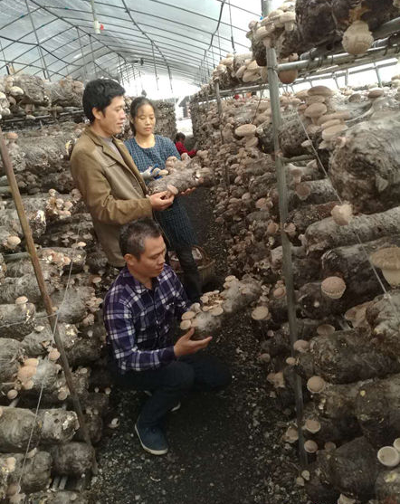 QQ截图20181017153724