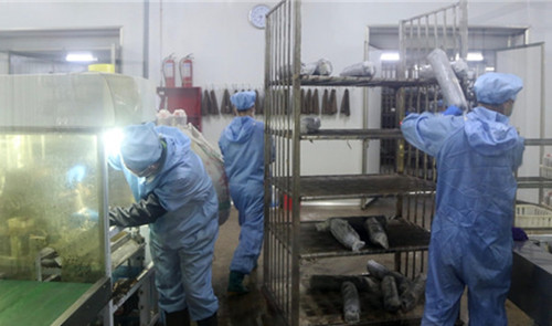 7acf6c37ce1d3c2_size46_w500_h295