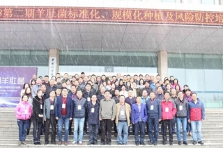 【热点】ManBetX体育栽培近半没有理想效益 新疆等地热度趋高 冷冻销售或将引爆巨大消费市场 ()