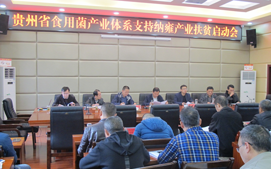 QQ截图20181022144227