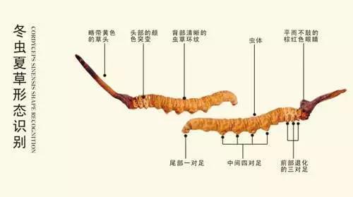 微信图片_20181023150043