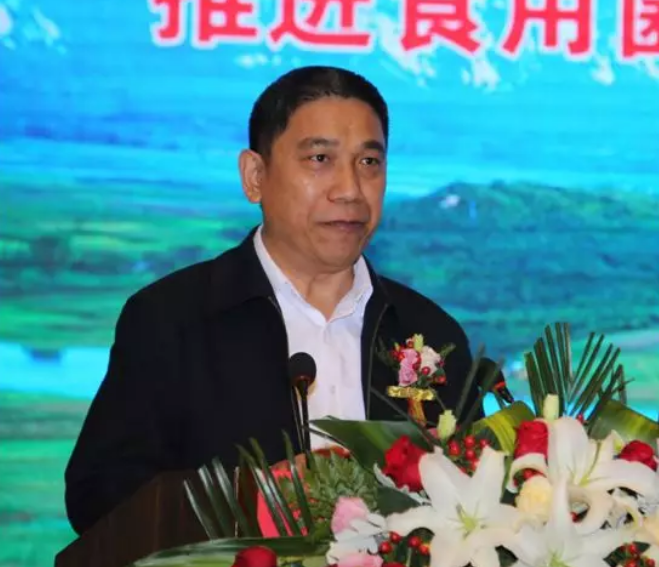 QQ截图20181101085118