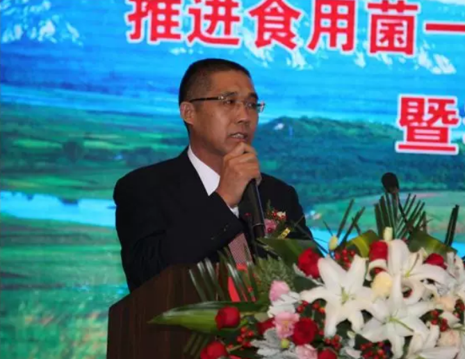 QQ截图20181101085213