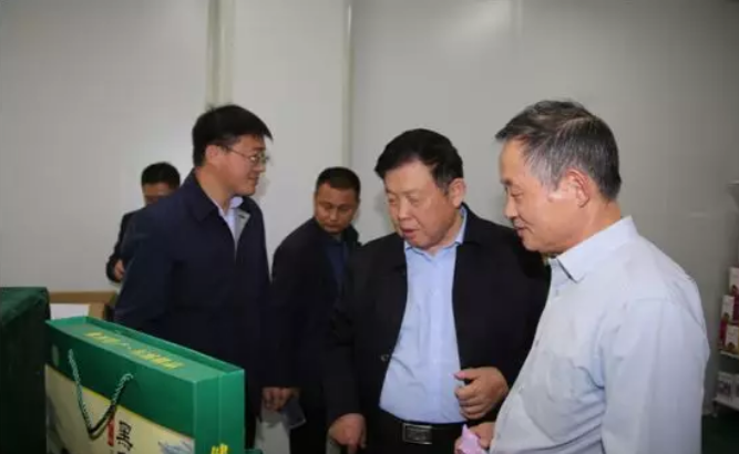 QQ截图20181101085240