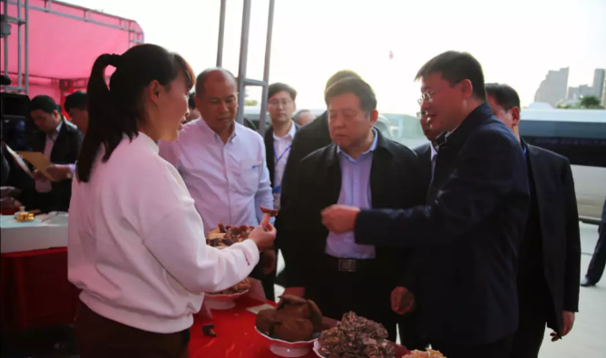 QQ截图20181101085248